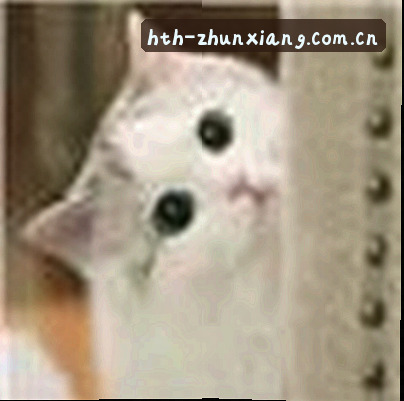 刘洋